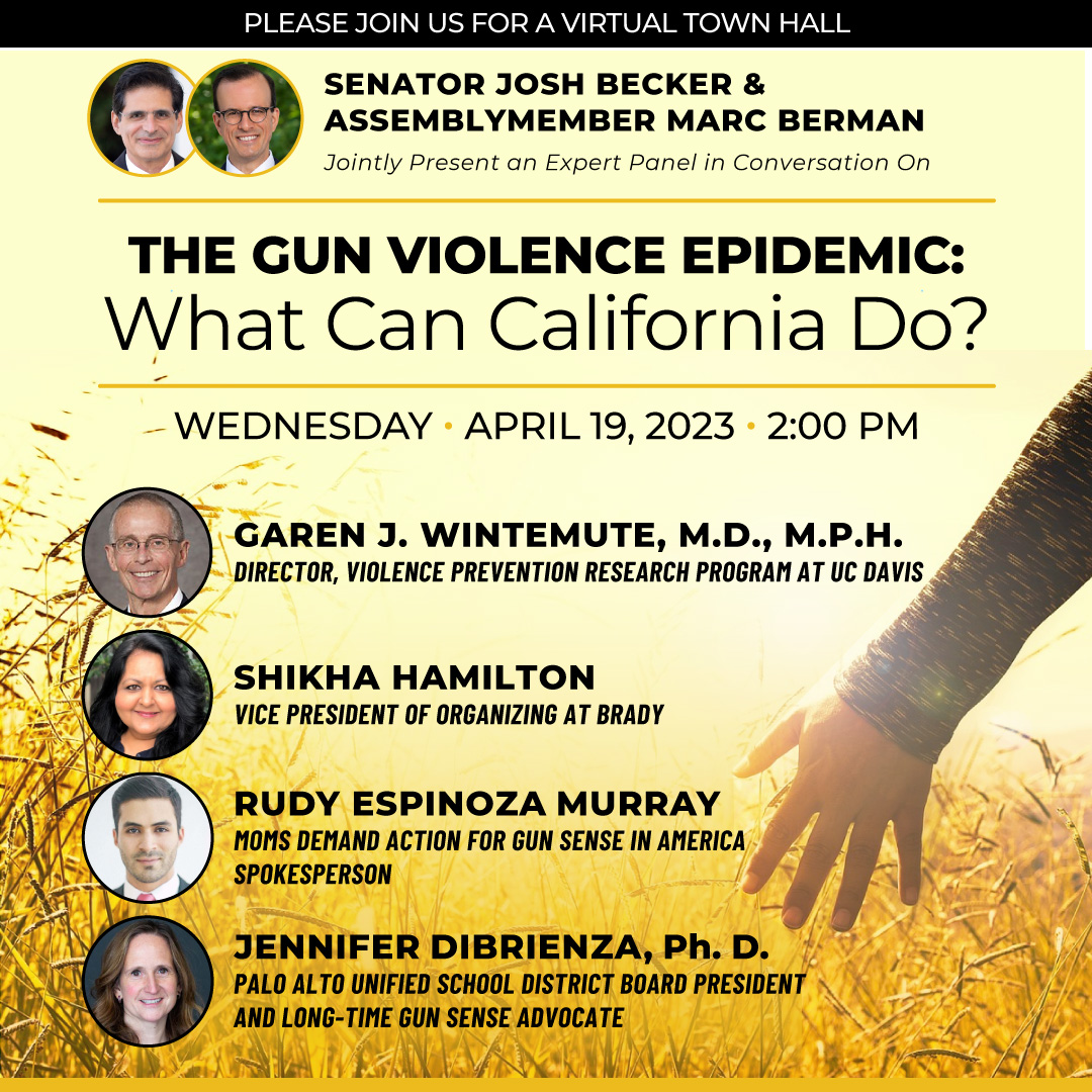 Gun Violence Town Hall