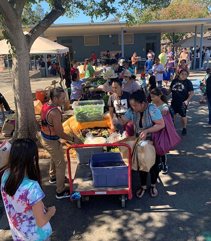 Food Distribution