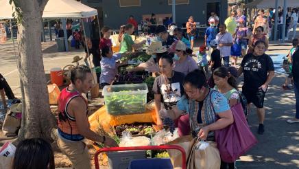 Food Distribution 