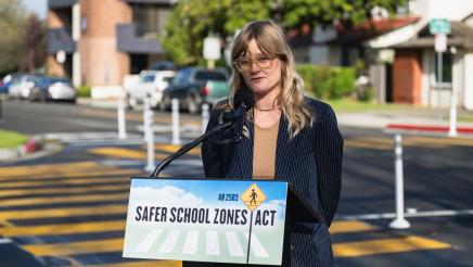 Berman AB2583 School Zone Speed Limit Presser