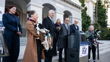 Puppy mill pipeline press conference