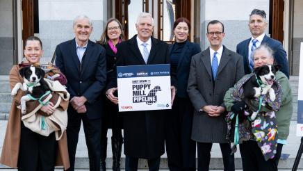 Puppy mill pipeline press conference