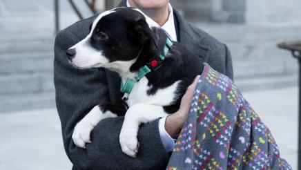 Puppy mill pipeline press conference