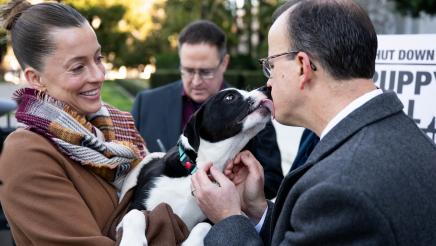 Puppy mill pipeline press conference