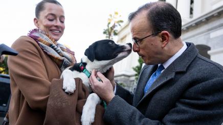 Puppy mill pipeline press conference