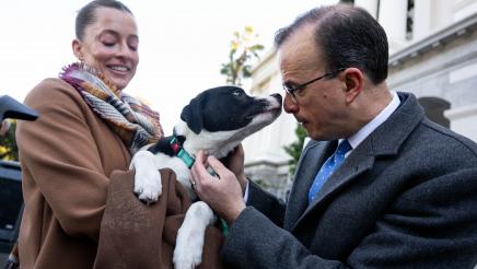 Puppy mill pipeline press conference