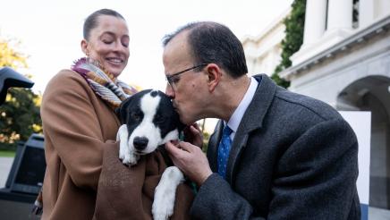 Puppy mill pipeline press conference
