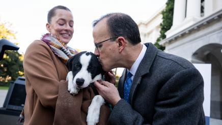 Puppy mill pipeline press conference