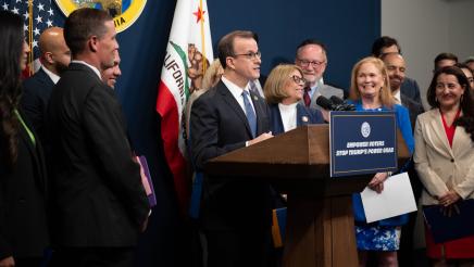 Redistricting Press Conference photo of Asm. Berman speaking