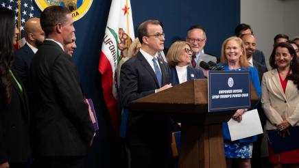 Redistricting Press Conference photo of Asm. Berman speaking